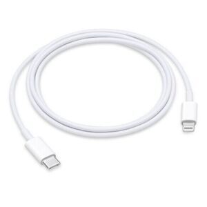 Apple iPhone charger